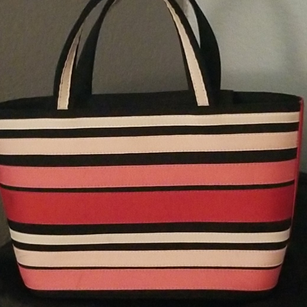 Dkny multi colored bag
